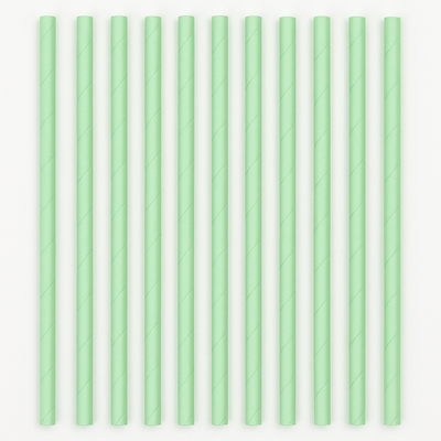 Paper Straws, Mint Green (Pack of 25)