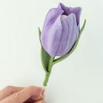 Tulipan Veiner