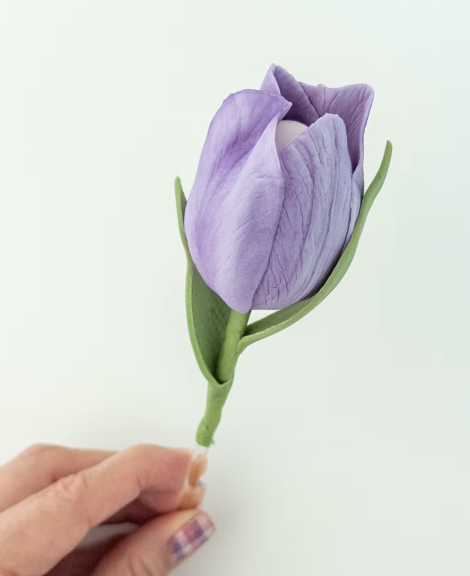 Tulipan Veiner