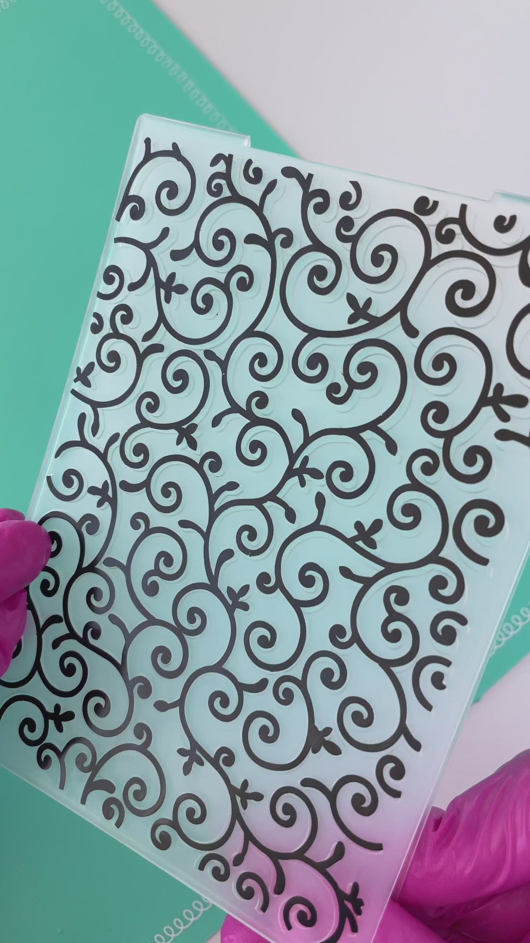 Plastic Folder, Vines