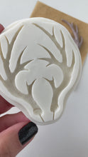 Load and play video in Gallery viewer, 2.75 Inch Antlers
