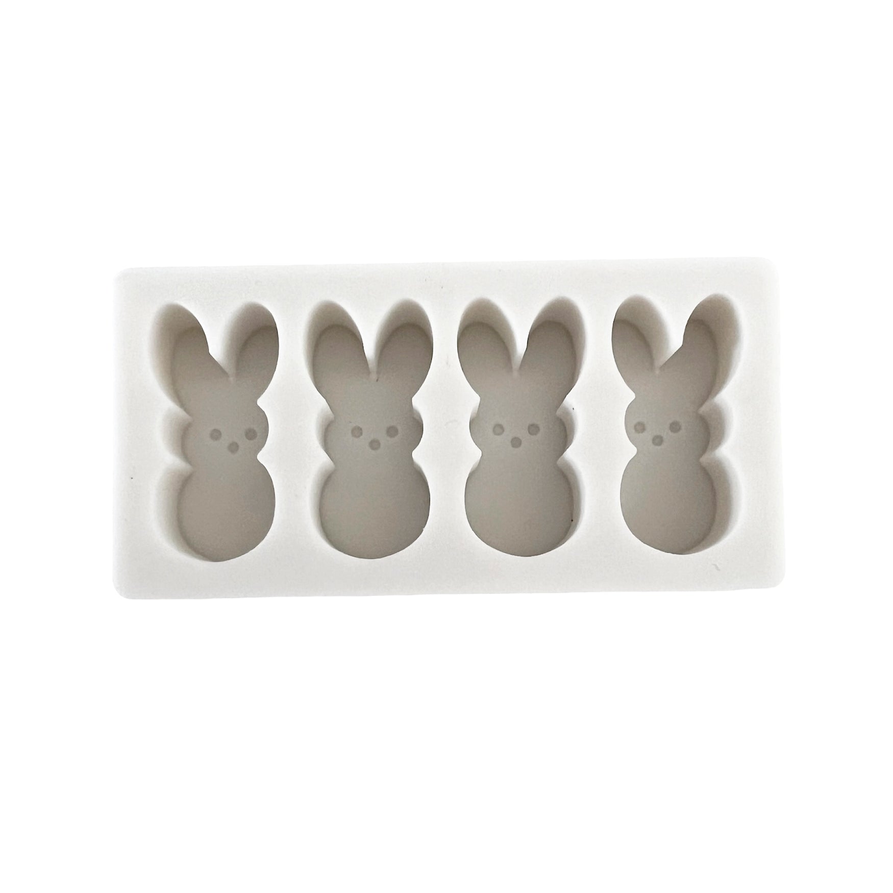 4 Cavity Bunny