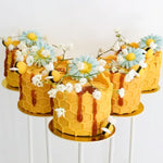 Cake Pop Boards, Rechte Rand (50 stuks), Goud