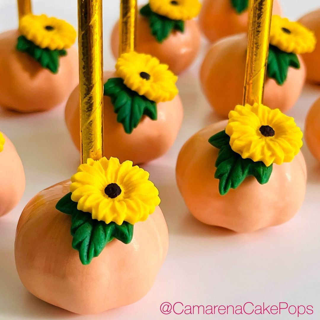 Moule à Cake Pops, Citrouille