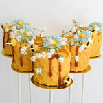 Cake Pop Mold, Single Tier Cake